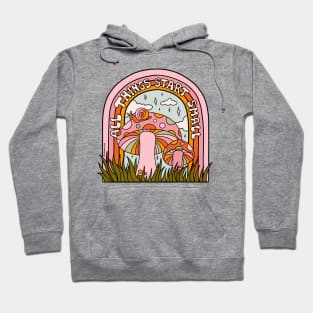 All Things Start Small Hoodie